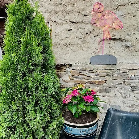 Appartamento Dein Haus Am Rhein