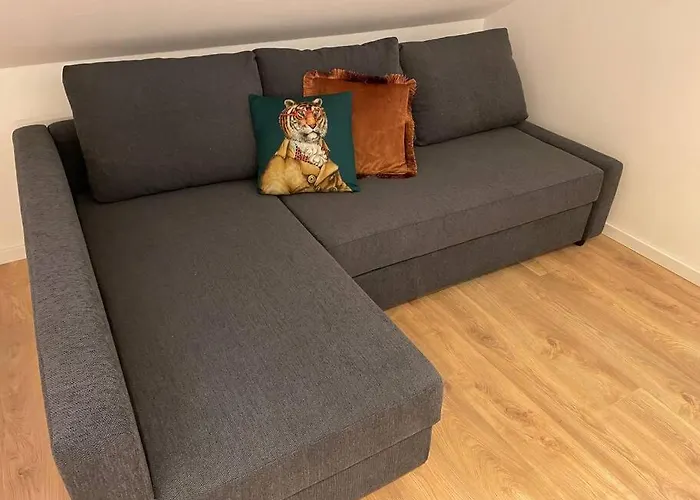 Dein Haus Am Rhein * コブレンツ