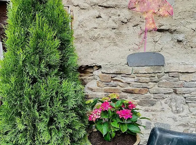 Appartamento Dein Haus Am Rhein